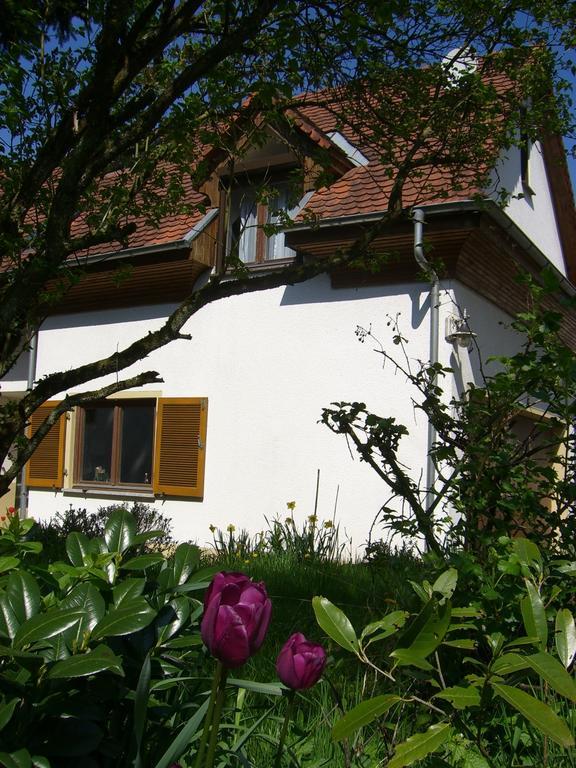 Ferienwohnung Lucia Huber Ульдінген-Мюльгофен Номер фото