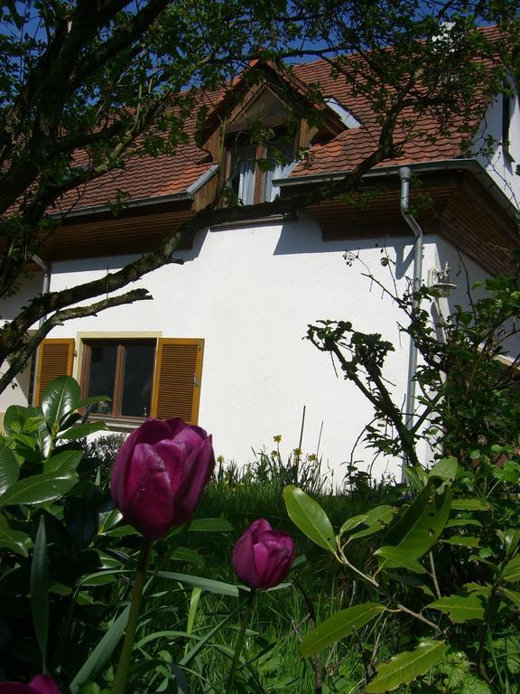 Ferienwohnung Lucia Huber Ульдінген-Мюльгофен Номер фото